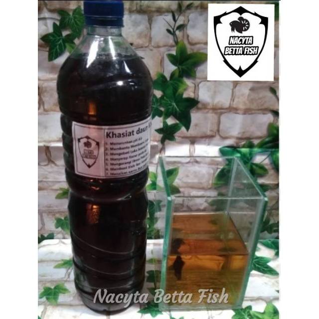 Ekstrak Daun Ketapang Olahan 100% ketapang asli