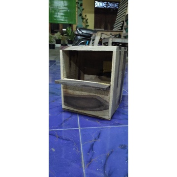 Glodok murai kotak sono kelling / kandang ternak murai