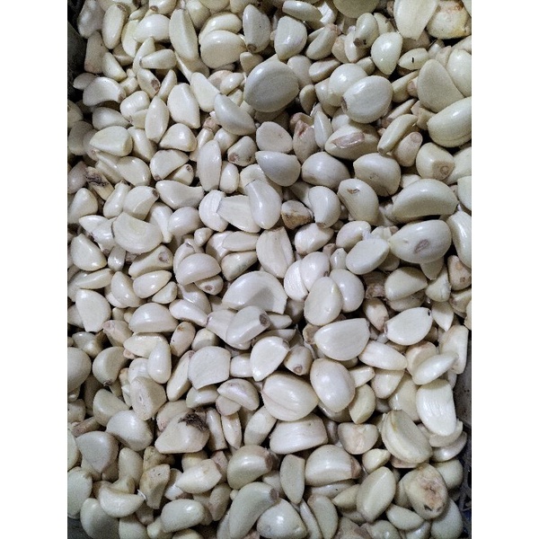 

Bawang Putih Kupas