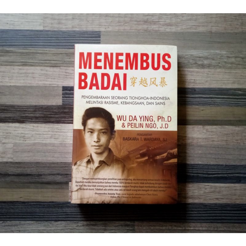 MENEMBUS BADAI - WU DA YING