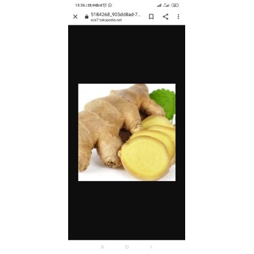 

jahe putih segar kualitas unggul