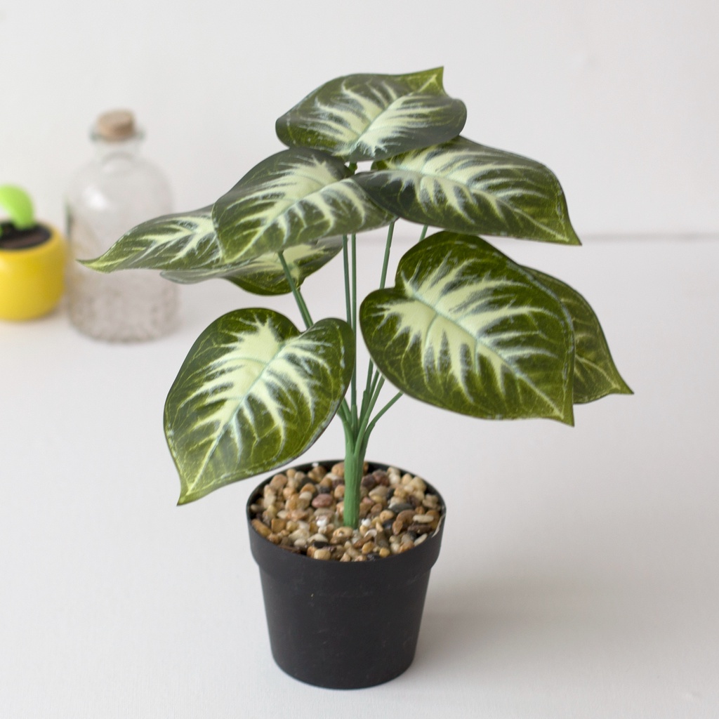 COD Tanaman Daun Plastik Artificial Flower Grey Potted Type White Heart