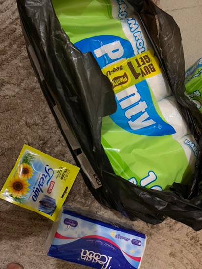 Plenty Bathroom Rolls Tissue Makro Mikro Flower [10 Roll/2 Ply] - Buy 1 Get 1