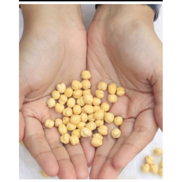 

kacang keju arab