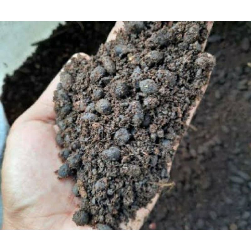 PUPUK KANDANG 1 kg Fermentasi