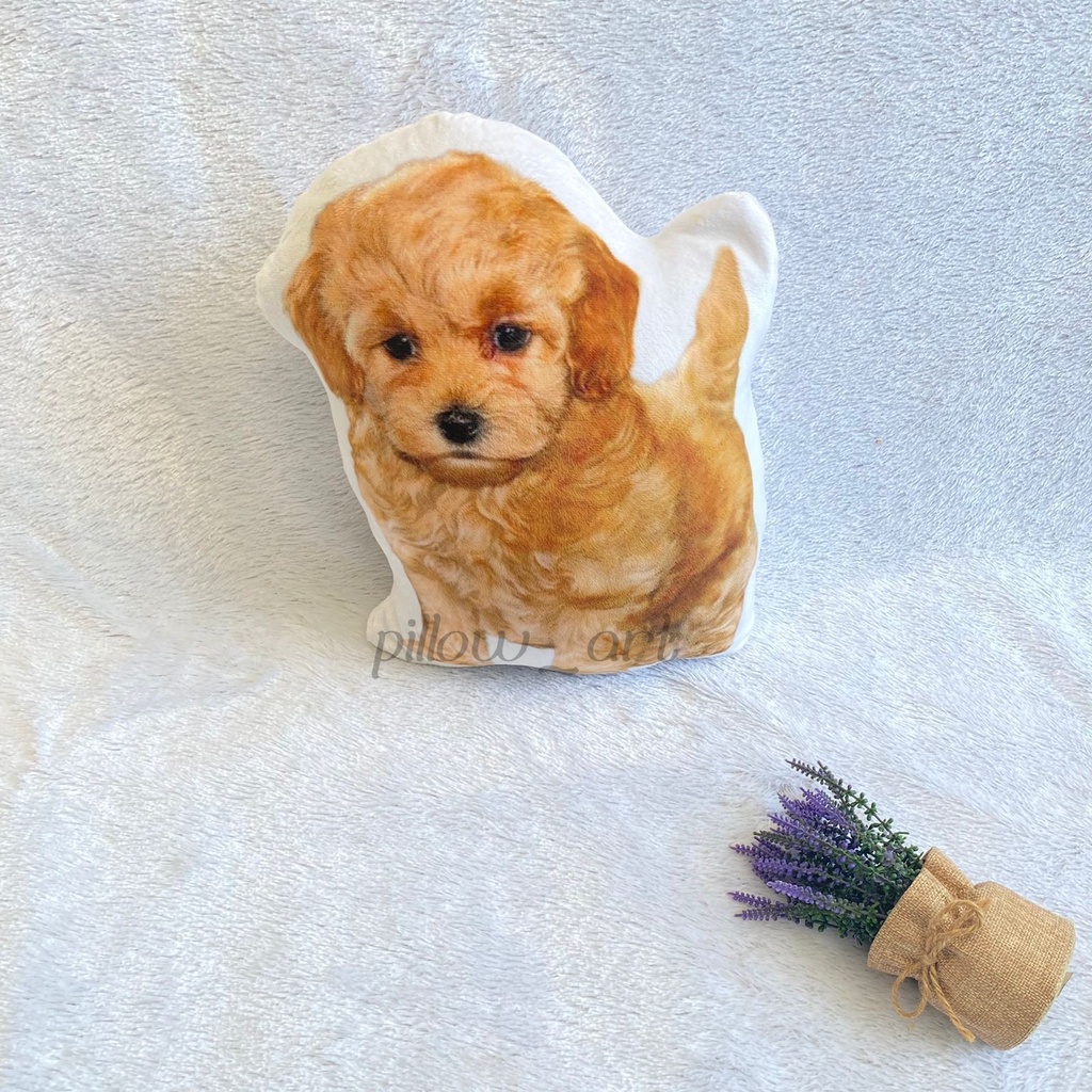 Pillowart - Bantal Boneka Anabul Custom / Kucing / Dogi Size M - ART112