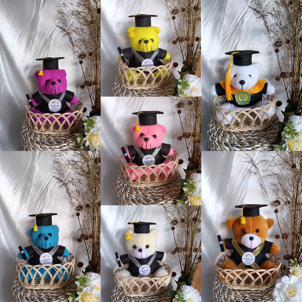 Boneka Keranjang / Boneka Wisuda / TeddyBear
