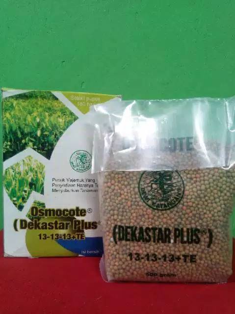 pupuk Dekastar 13-13-13 500 Gram, pupuk Dekastar plus osmocote 500 Gram