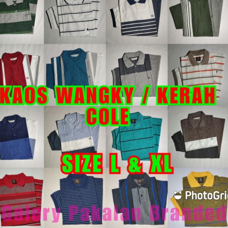 [KODE PRODUK B66E76533] Kaos Kerah Cole Wangky Lengan pendek kaos polo kaos AR89