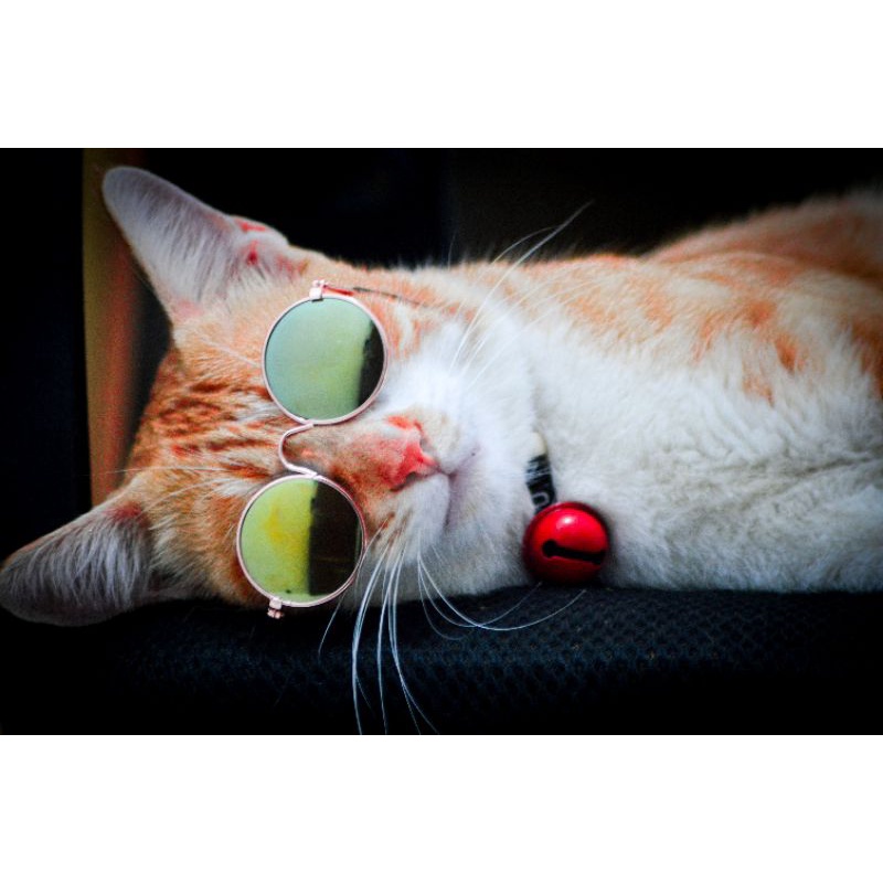 ELYE STORE | Kacamata Kucing | Kacamata Mini