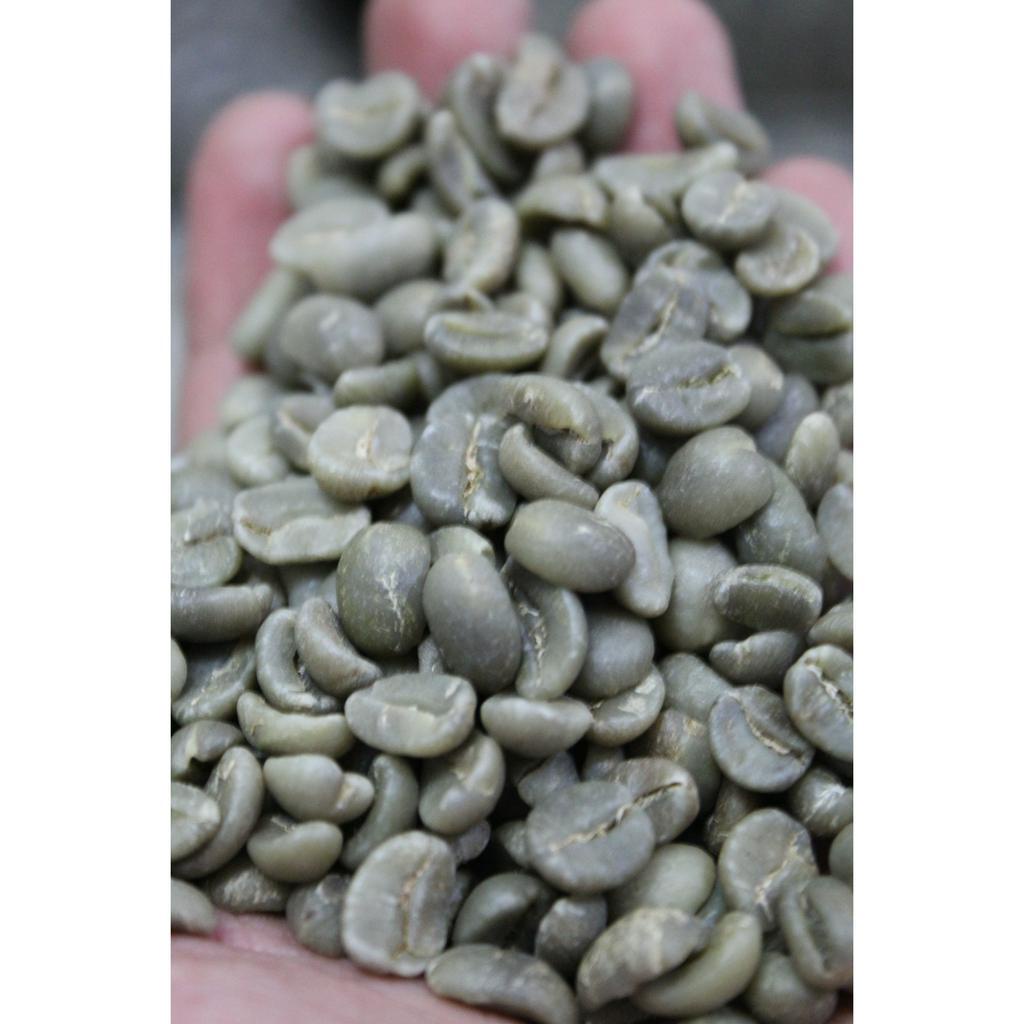 

Green Bean Wild Luwak