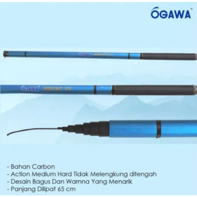 tegek ogawa morino