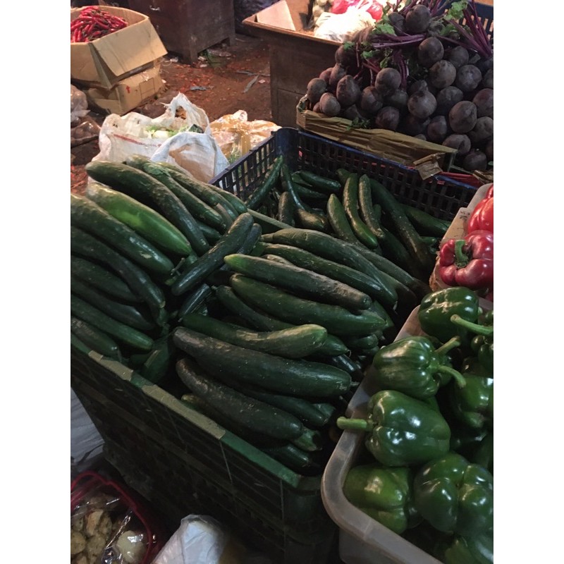 

Kyuri / Timun Jepang 1kg