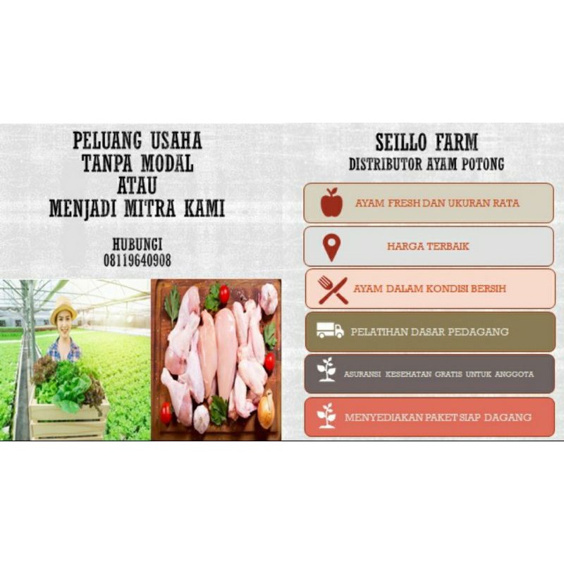 Peluang Usaha Tanpa Modal