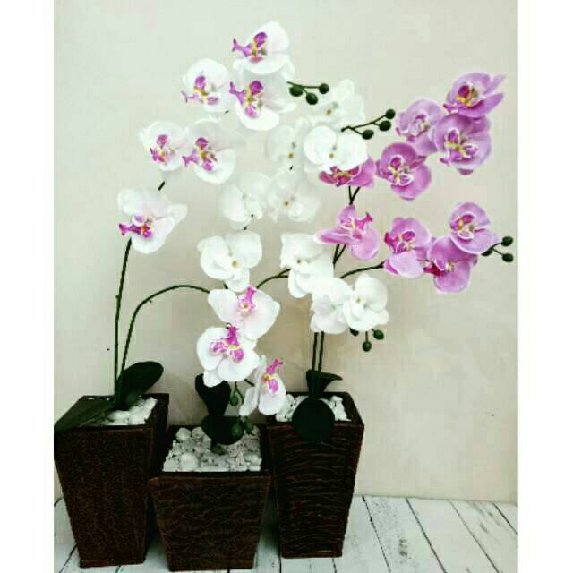 Bunga Anggrek Bulan Artificial Vas Bunga Kayu Shopee Indonesia