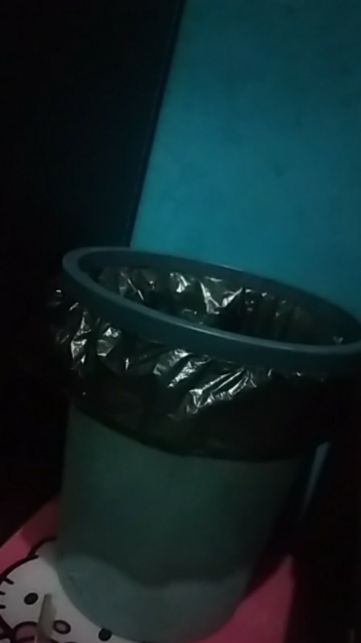 Tong Sampah Bulat/tempat Sampah Plastik Warna Canggih/ember Pink  Hijau  Biru