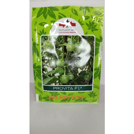 Benih Terong Lalap Provita F1 1100 Butir