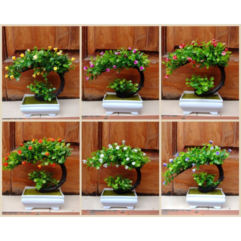 Bunga Bonsai Plastik Bunga Hiasan plastik