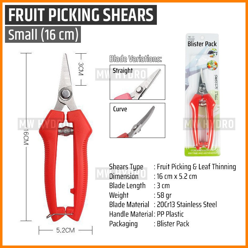 Gunting Buah, Bunga, Daun, Bonsai - Fruit Picking, Thinning Shears - S