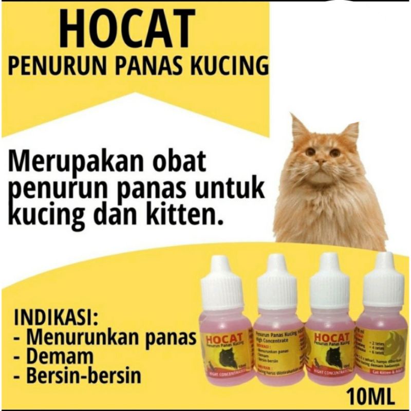 Hocat 10 ml Obat Penurun Demam Panas Pada Kucing Kitten Cat