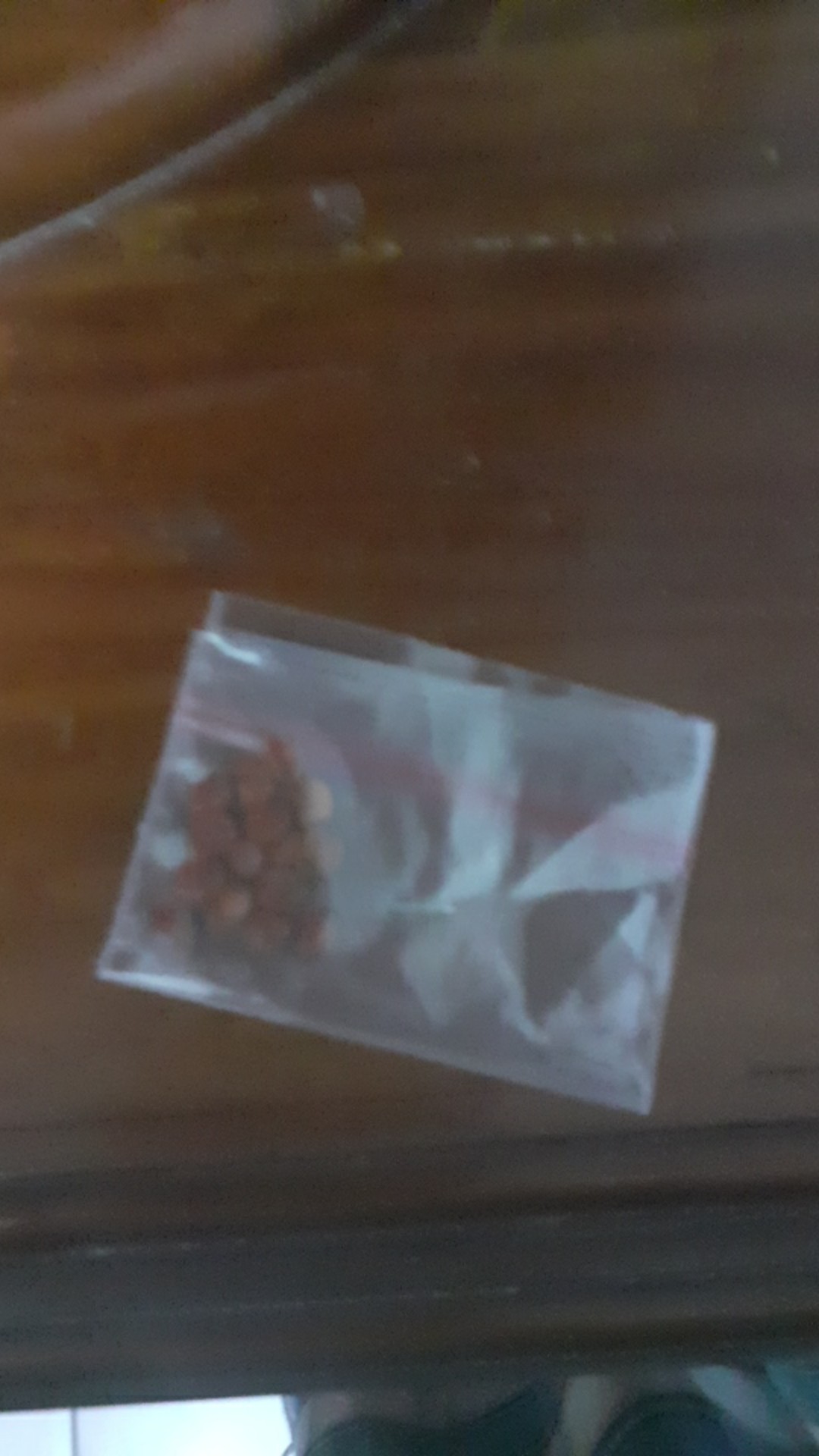 Biji Bidara Arab Super Siap Semai / Bidara / Bidara Arab / Biji Bidara (sudah Dikupas Dari Cangkang)