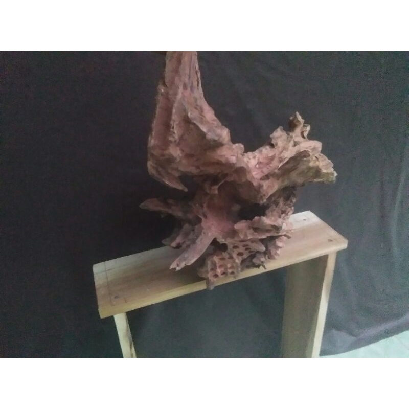 kayu rentek aquascape