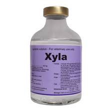 Xyla-50ml