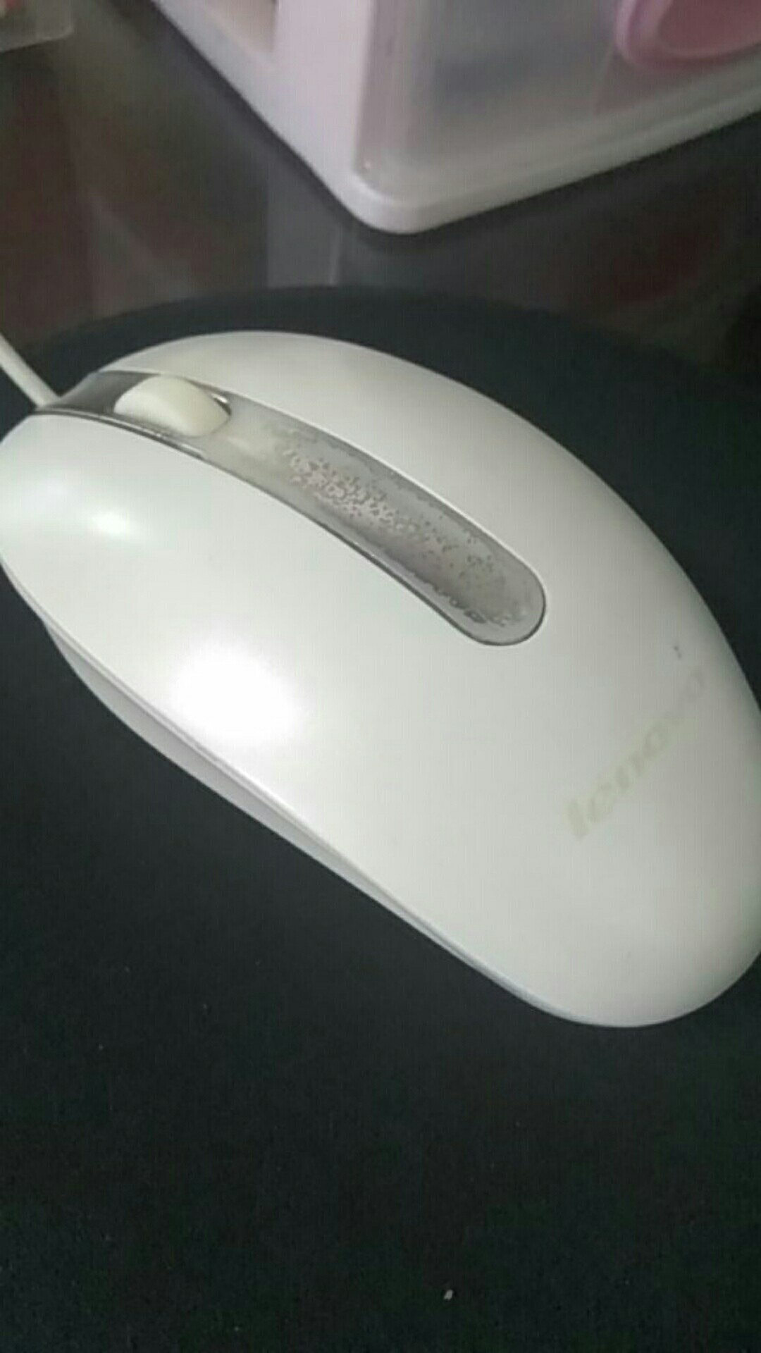 20cm Hiasan Dinding Pajangan Hexagonal Daun Tropical Monstera Bunga Vintage Bunga Matahari