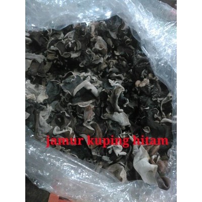 

jamur kuping hitam kering 100gram