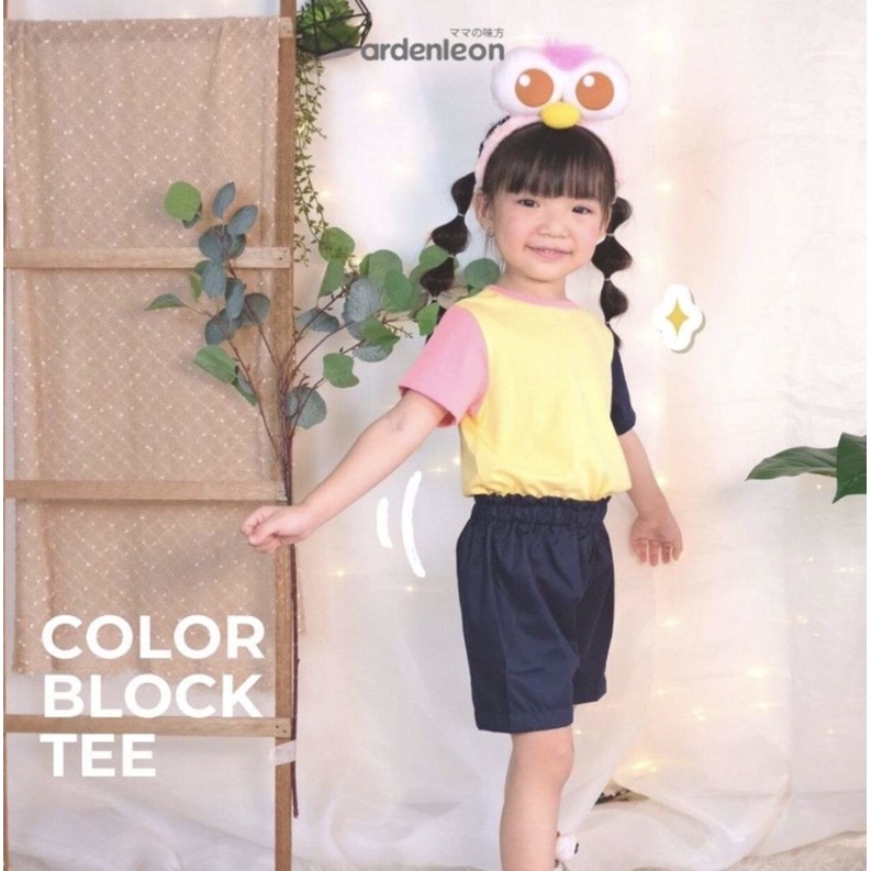 ArdenLeon COLOR BLOCK TEE 3L 4L 5L / Arden Leon Kaos Atasan Unisex Size Besar