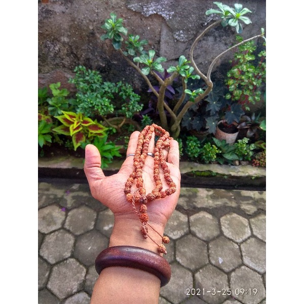 Kalung tasbih 99 biji bidara ARAB (SIDR) | Kalung biji bidara | tasbih bidara original