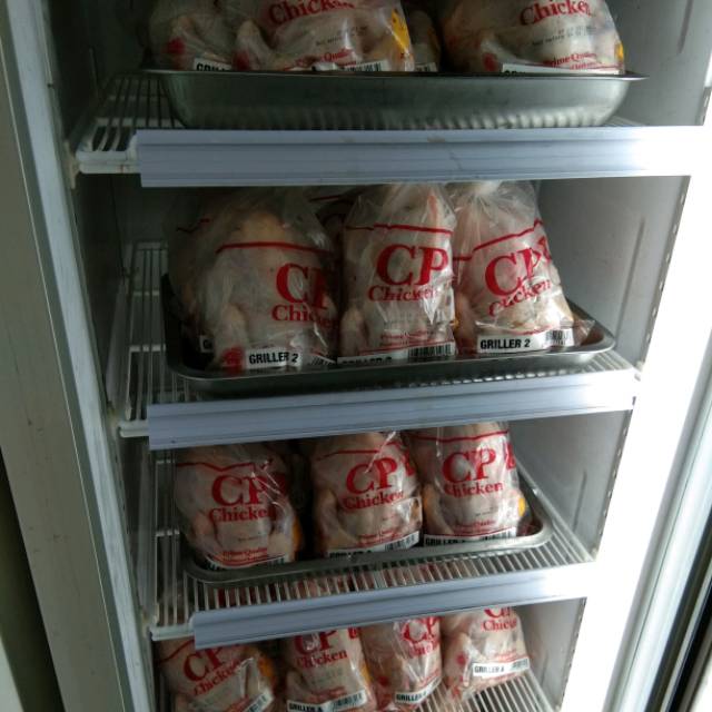 

Ayam potong surabaya