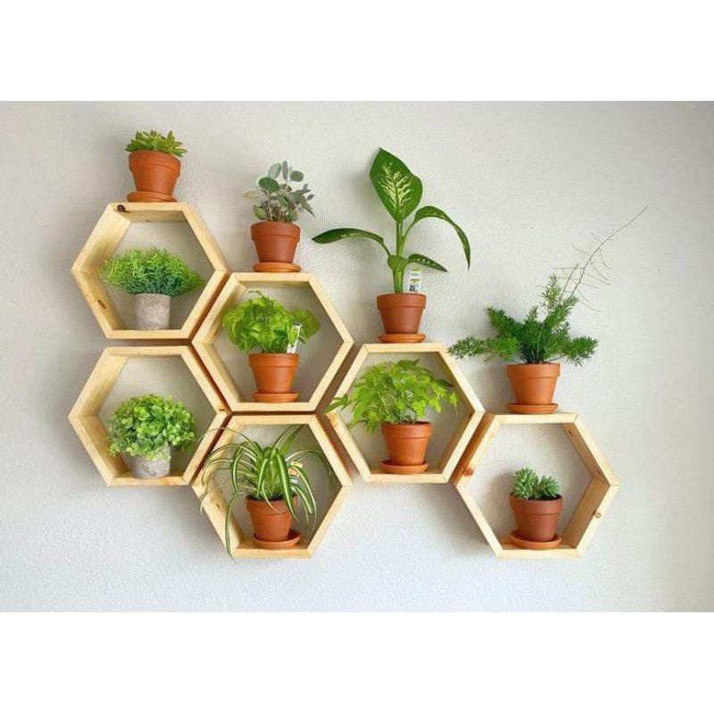 Rak Kayu Dinding Heksagon Segi Enam Untuk Pot Bunga Tanaman Dekorasi Etc