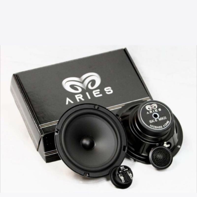 Speaker Split Audible Physics Aries 2way