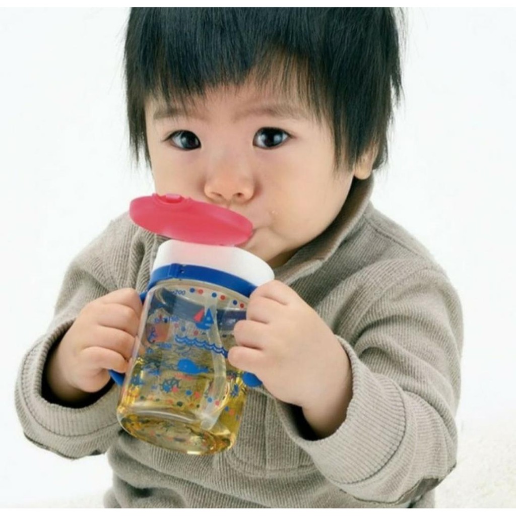 Richell Aquela Straw Bottle Mug Botol Minum Anak