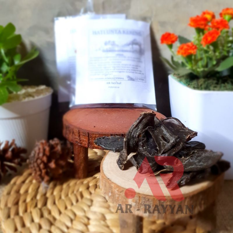 HATI UNTA ASLI 12 GRAM ORIGINAL