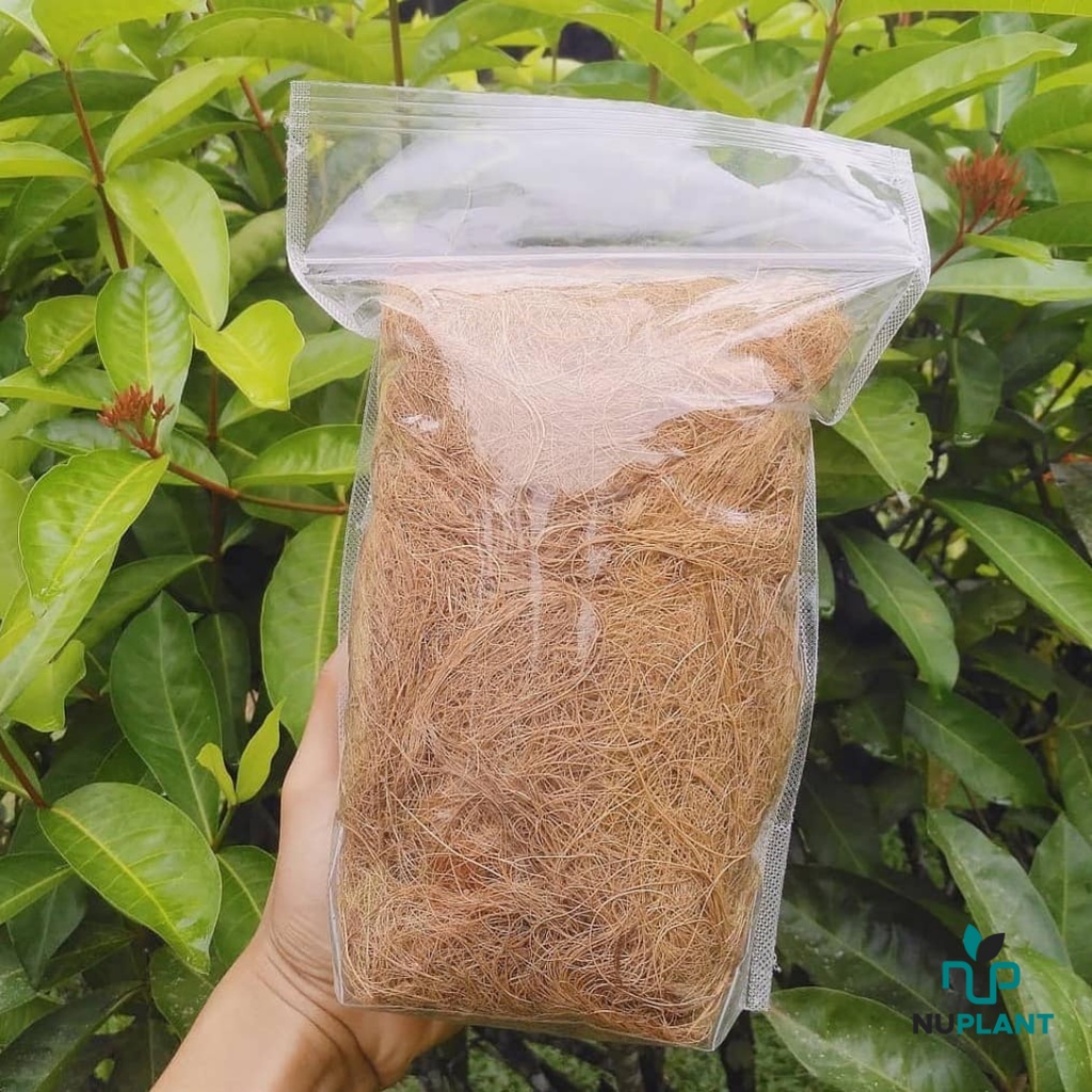 Cocofiber Grade A Serabut Kelapa Sabut Kelapa Murni Media Tanam Siap Pakai murah