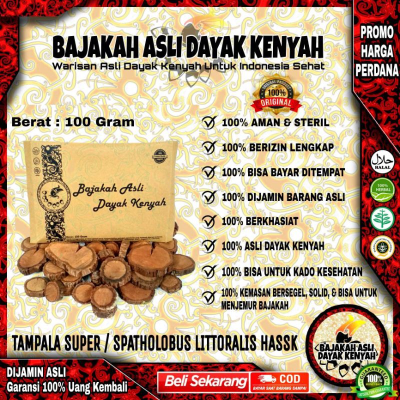 

BAJAKAH TAMPALA SUPER 100Gr - OBAT KANKER TUMOR - BAJAKAH ASLI DAYAK KENYAH