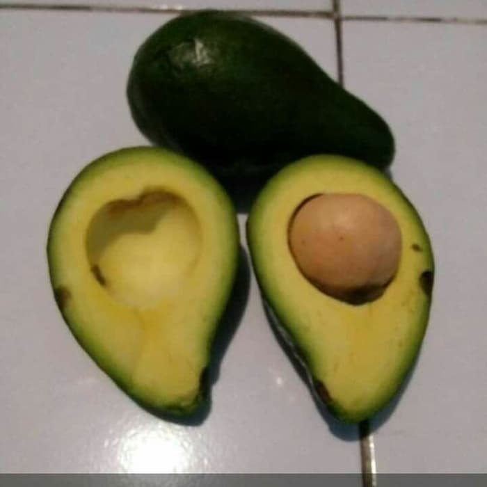 

Alpukat Mentega Jumbo