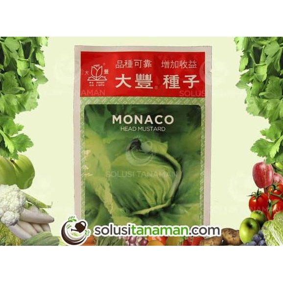 

UNIK Benih Sayuran Sawi Pahit Mustard 10gr Biji Bibit Sayur Tanaman Organik 2 SEPTEMBER