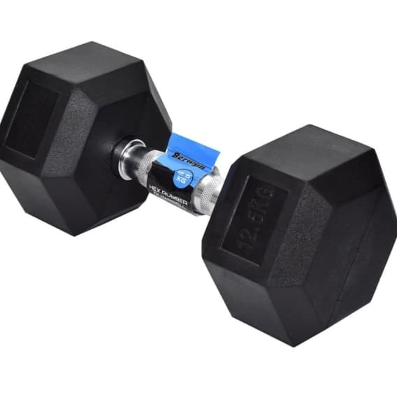 BERWYN 12.5 KG HEXAGONAL RUBBERISED DUMBBELL /DUMBELL (LAPISAN KARET)