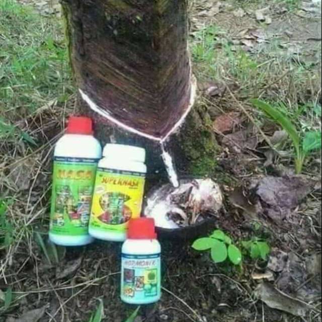 Pupuk karet organik nasa
