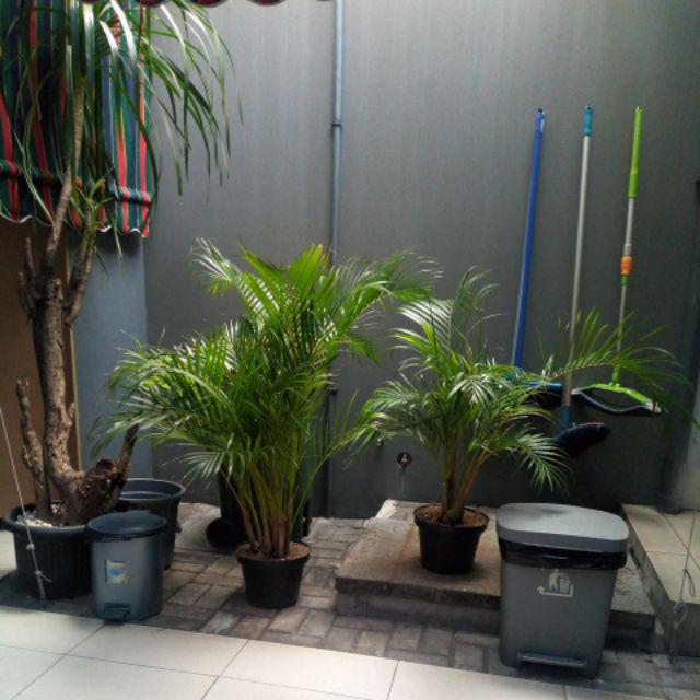 Pengharum Ruangan/buhur Magrobi Bulet