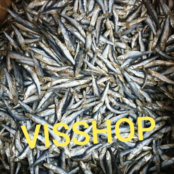 

Teri Batu 500gr
