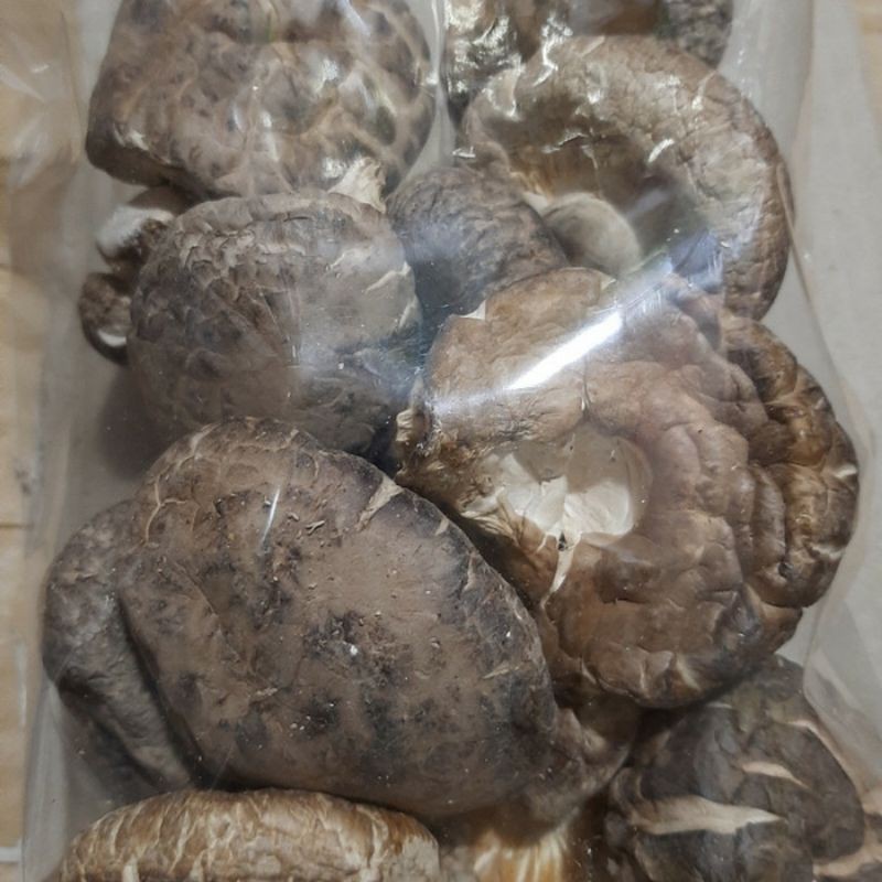 

Jamur Hioko Shitake 100gr