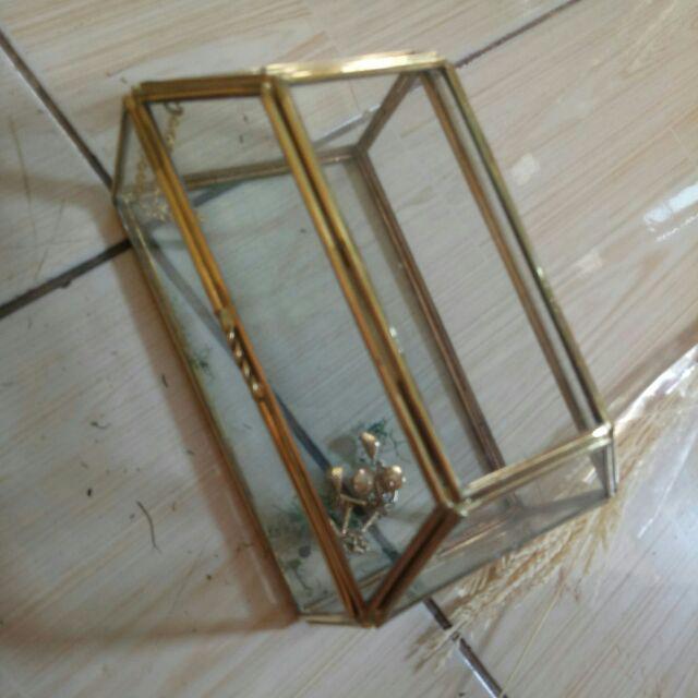 Ring Box Terrarium