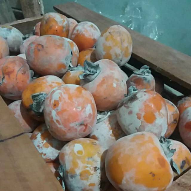 Kesemek Ganda Segar dan Sehat per 1 kg Rp. 22.000