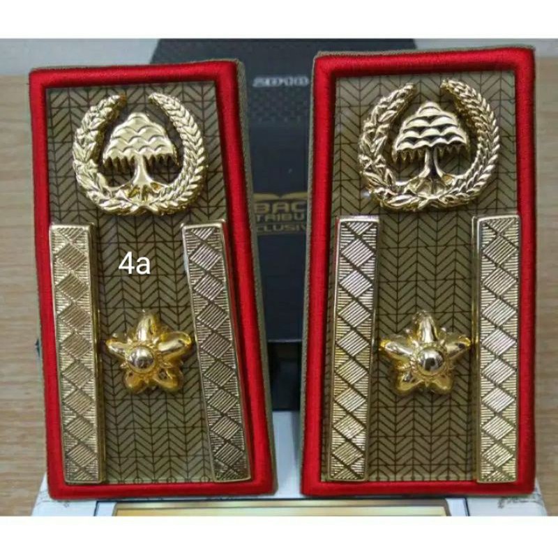 pangkat asn golongan 4a/pangkat PNS golongan 4a masing"daerah