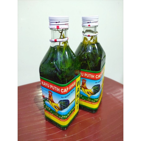 MINYAK KAYU PUTIH CAP AYAM ( HERBAL DAUN INGGU / CAOCHAU )