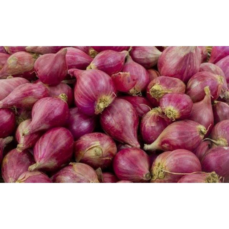 bawang merah lokal super kemasan 1/2 kg